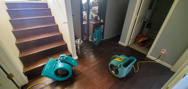 Best Flood damage cleanup  in Sheffield, IA