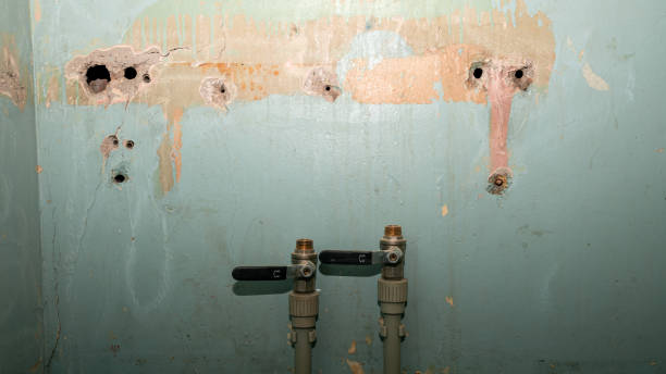Best Mold removal after water damage  in Sheffield, IA