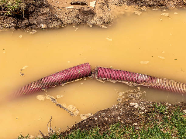 Best Residential water damage restoration  in Sheffield, IA